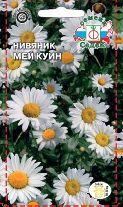Семена нивяник (хризантема) Мей Куин белоснежный СЕДЕК 0,2 г